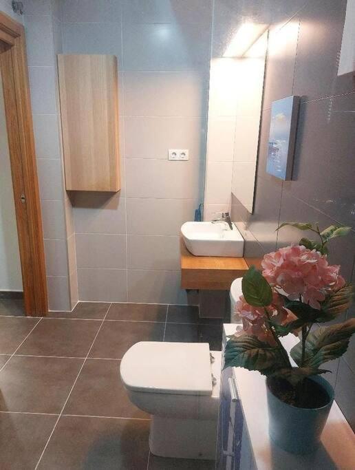Lekitxoko Apartamento Vacacional Lekeitio Exterior photo
